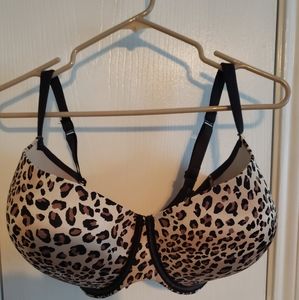 Lane Bryant Cacique bra (Lightly lined Balconette)